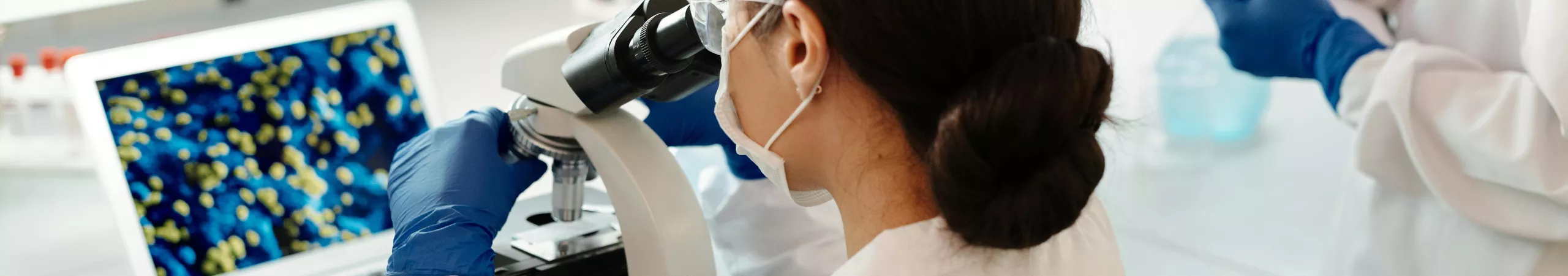 pathology-69941193e6659